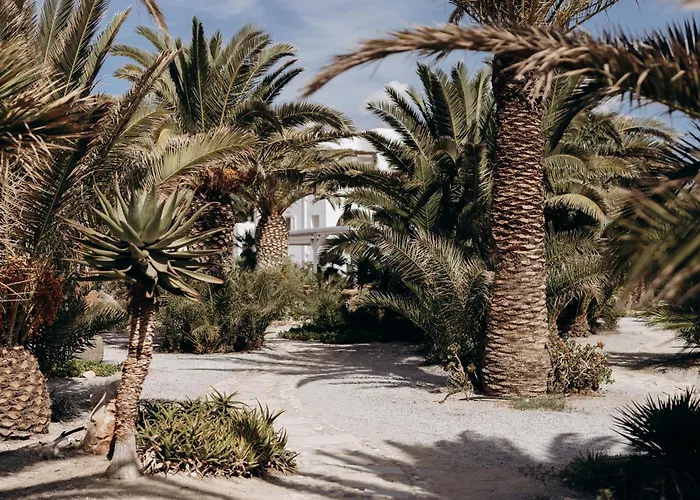 Medusa & 아파트호텔