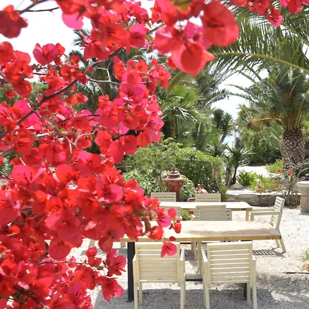 Medusa & 公寓式酒店 4*