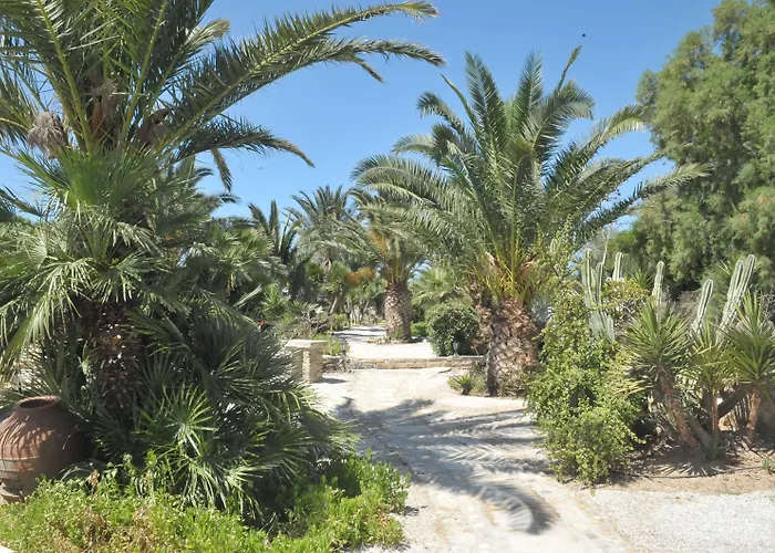 Aparthotel Medusa & 4*