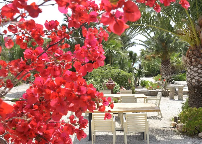 Medusa & Aparthotel 4*